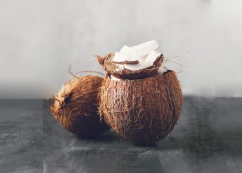 LA NOIX DE COCO
