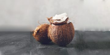 LA NOIX DE COCO