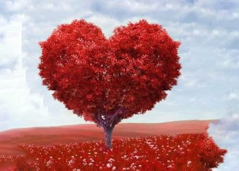 5 conseils pour une Saint-Valentin « inoubliable » malgré la distance.