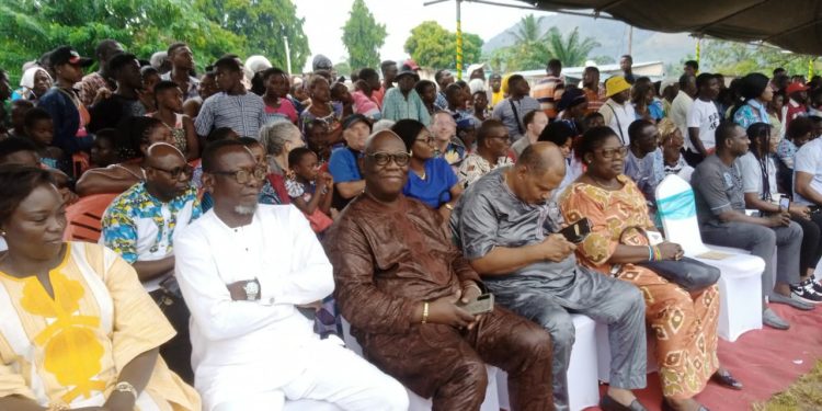 Le triomphe de Novisi-tove Dzigbe au Festival de danse traditionnelle Bobobo