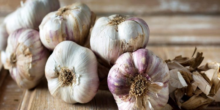 Santé : 5 vertus de l&rsquo;ail sur la santé vaginale