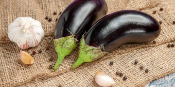 aubergines