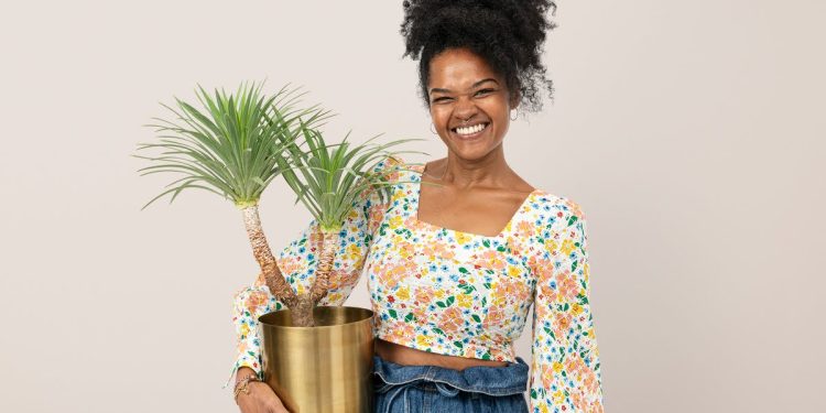 Le pouvoir des plantes : créer son mini-jardin médicinal