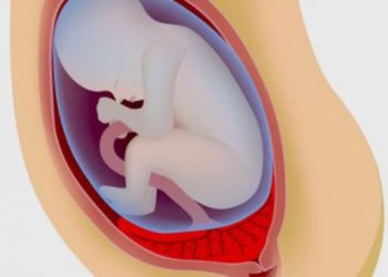 Enterrer le placenta : un rituel qui relie l&rsquo;enfant à la terre