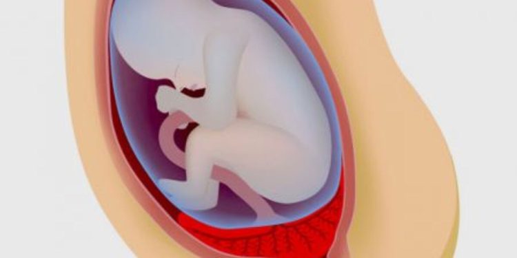 Enterrer le placenta : un rituel qui relie l’enfant à la terre